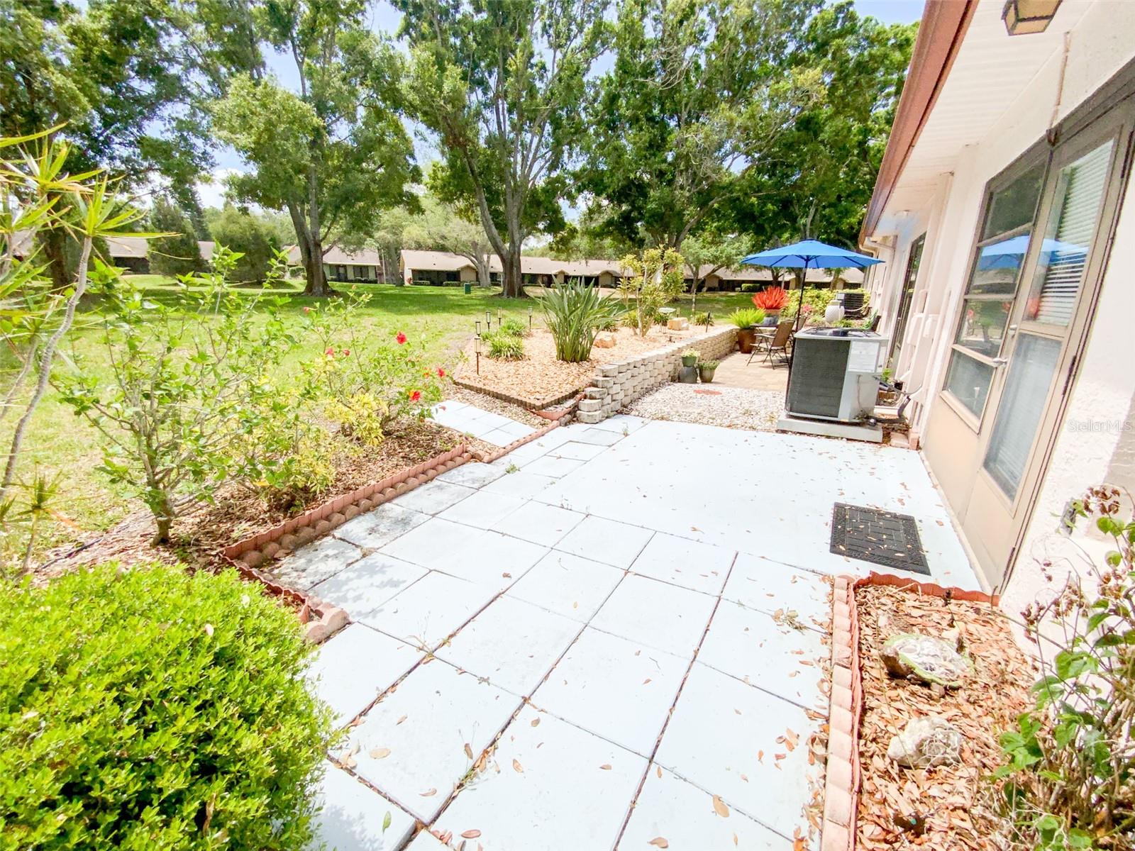 1125 MONTROSE PL, DUNEDIN, FL — photo 20