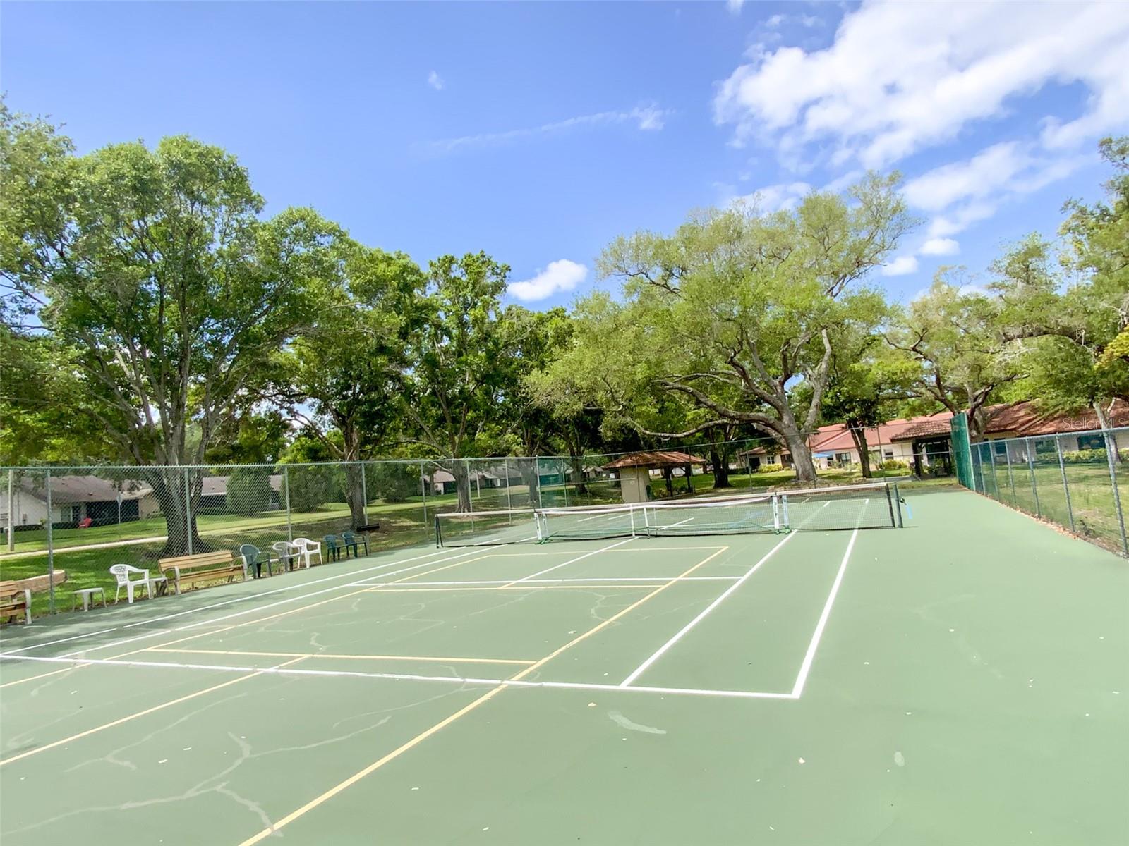 1125 MONTROSE PL, DUNEDIN, FL — photo 25