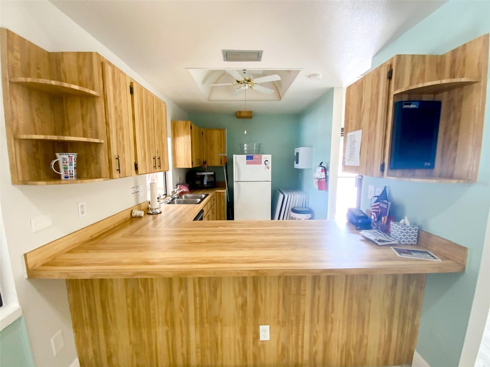1125 MONTROSE PL, DUNEDIN, FL — photo 29