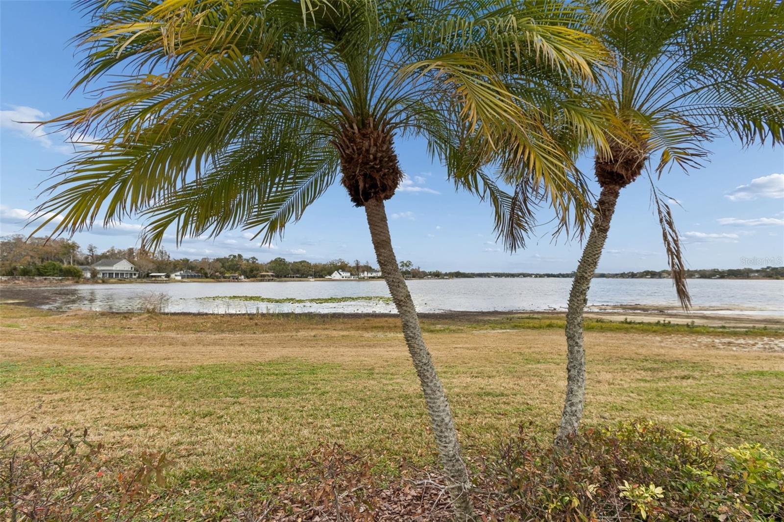 13765 JUNIPER BLOSSOM DR #101, TAMPA, FL — photo 54