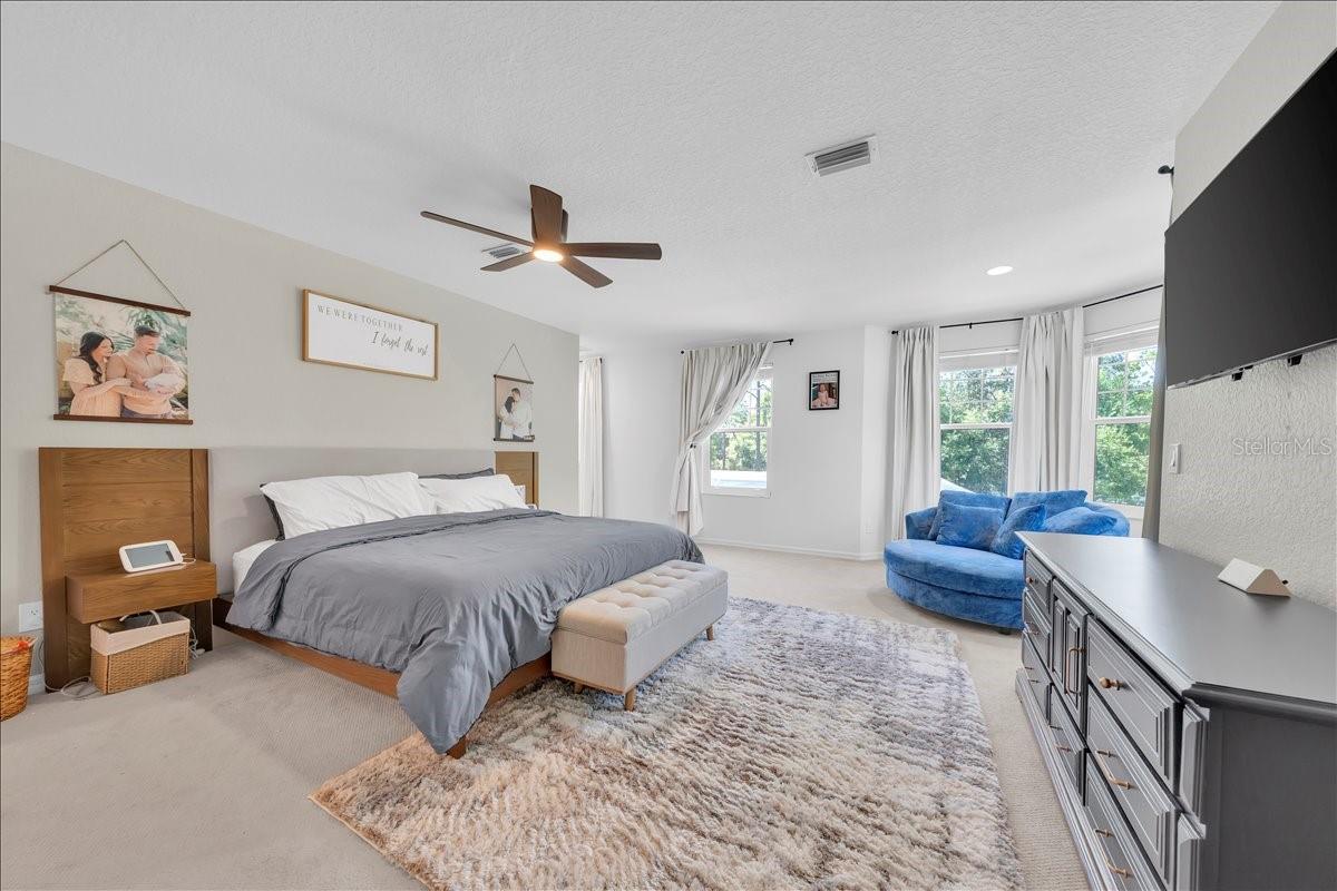 5913 FLATWOODS MANOR CIR, LITHIA, FL — photo 16