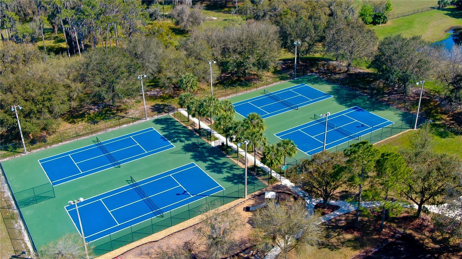 5913 FLATWOODS MANOR CIR, LITHIA, FL — photo 46