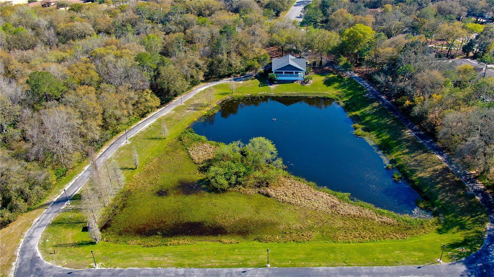 5913 FLATWOODS MANOR CIR, LITHIA, FL — photo 49