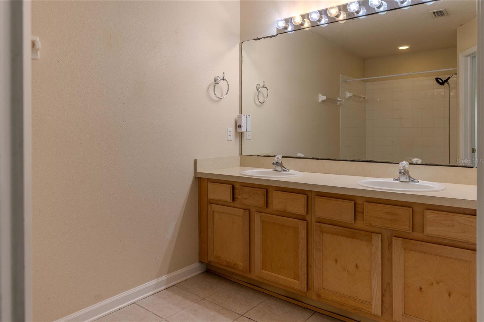 2720 CONCH HOLLOW DR, BRANDON, FL — photo 13