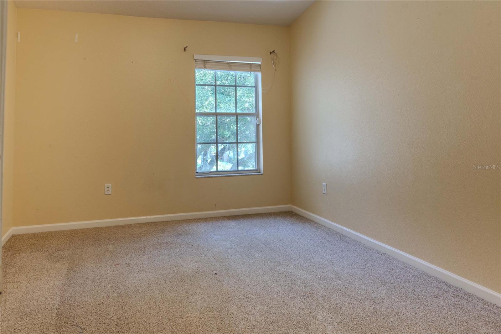 2720 CONCH HOLLOW DR, BRANDON, FL — photo 15