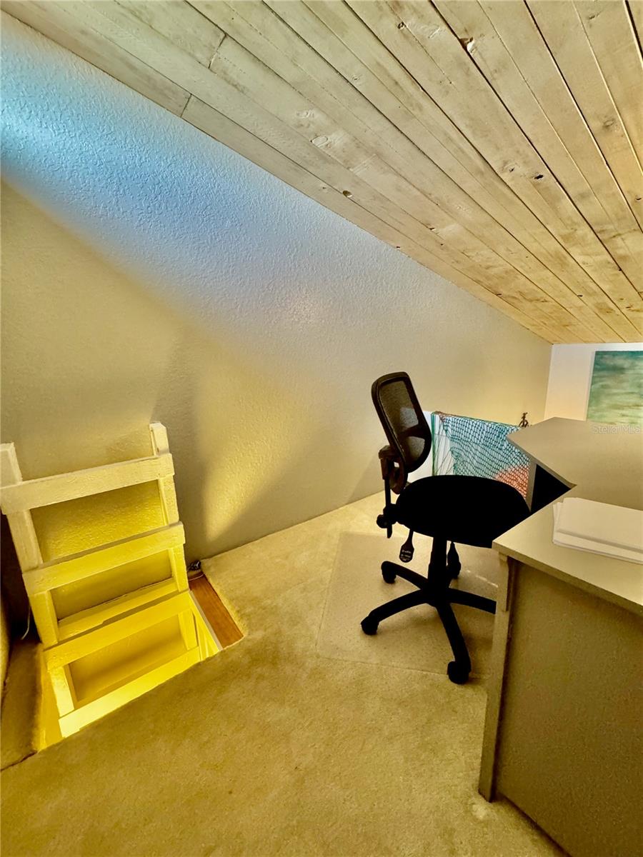 513 HAVEN POINT DR, TREASURE ISLAND, FL — photo 61