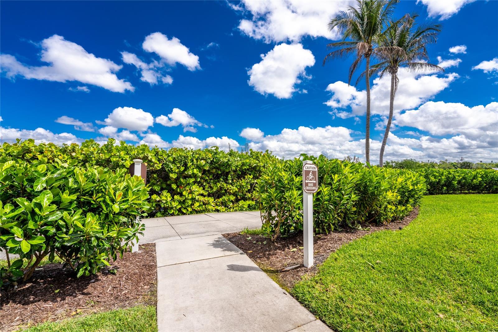 167 TAMPA AVE E #513, VENICE, FL — photo 56