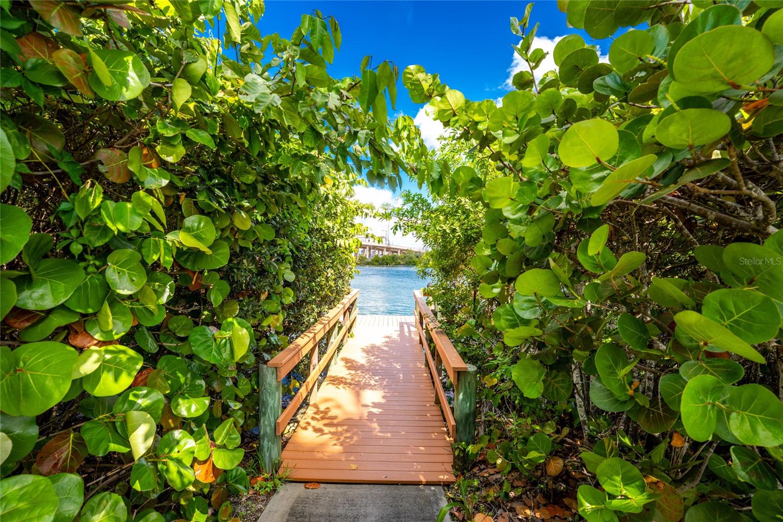 167 TAMPA AVE E #513, VENICE, FL — photo 57