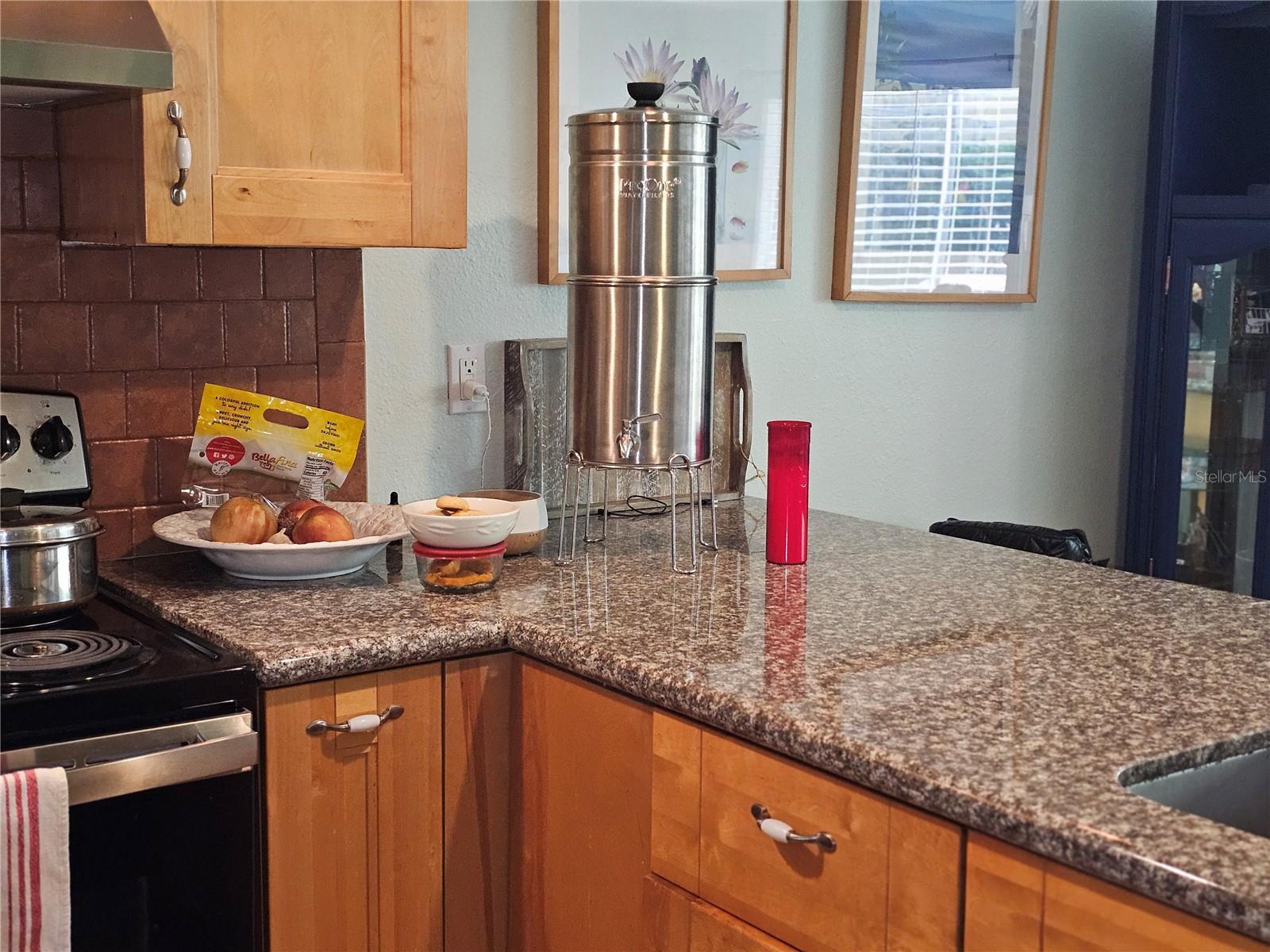 2525 W BAY DR #A13, BELLEAIR BLUFFS, FL — photo 8