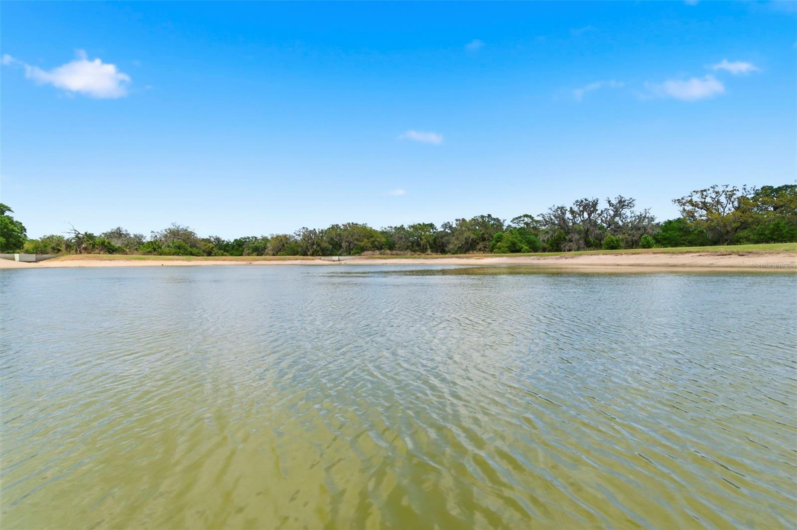 12611 LEMON PEPPER DR, RIVERVIEW, FL — photo 25