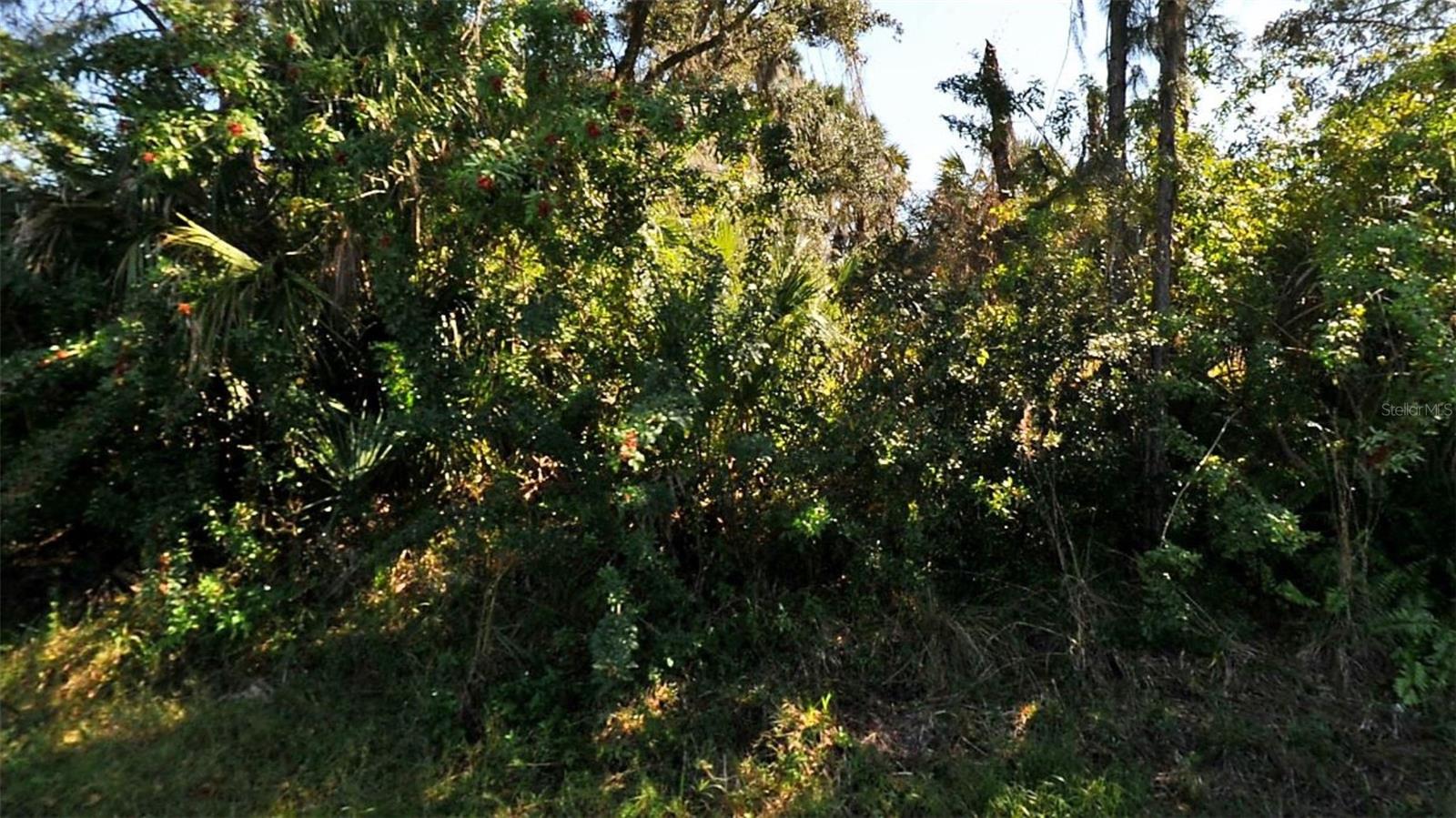 TUCSON RD, NORTH PORT, FL — photo 2