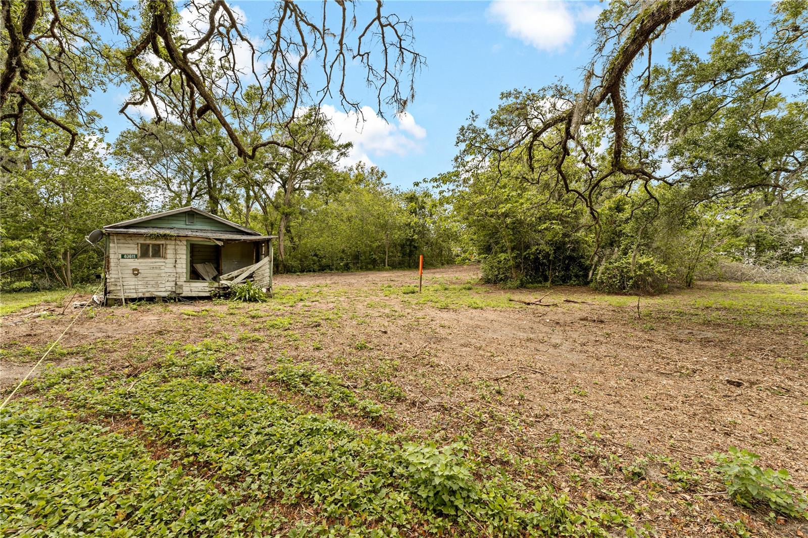 40611 OTIS ALLEN RD, ZEPHYRHILLS, FL — photo 3