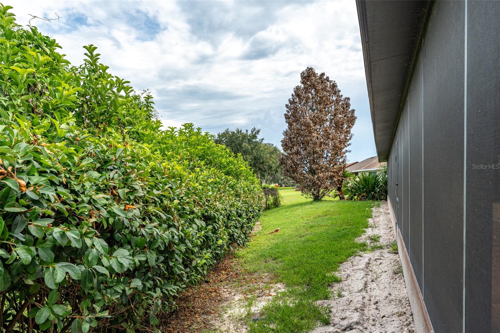 6151 SILVER OAKS DR, ZEPHYRHILLS, FL — photo 18
