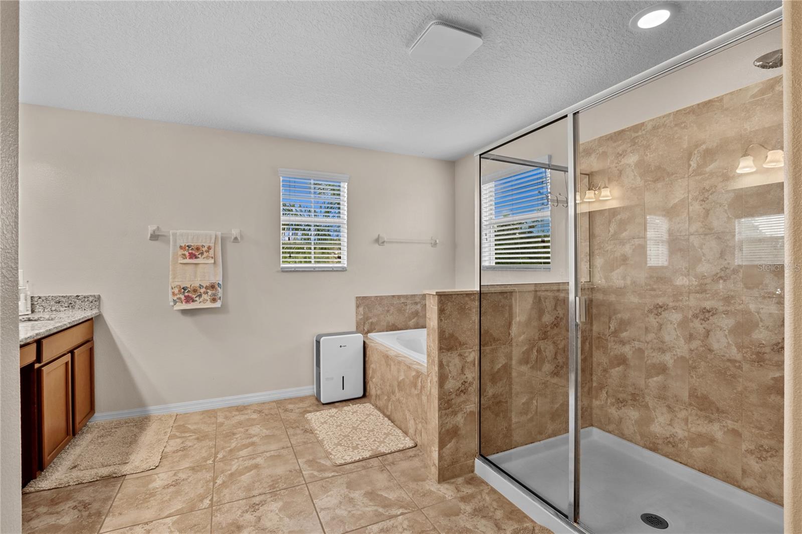 13161 ROYAL PINES AVE, RIVERVIEW, FL — photo 10