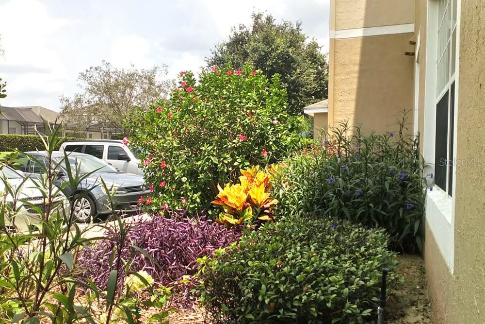 2307 BUTTERFLY PALM WAY #102, KISSIMMEE, FL — photo 7