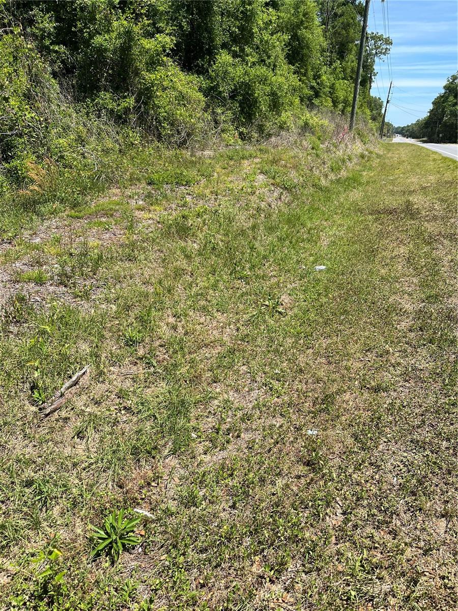 00 W HWY 40, LOT 11, OCALA, FL — photo 3