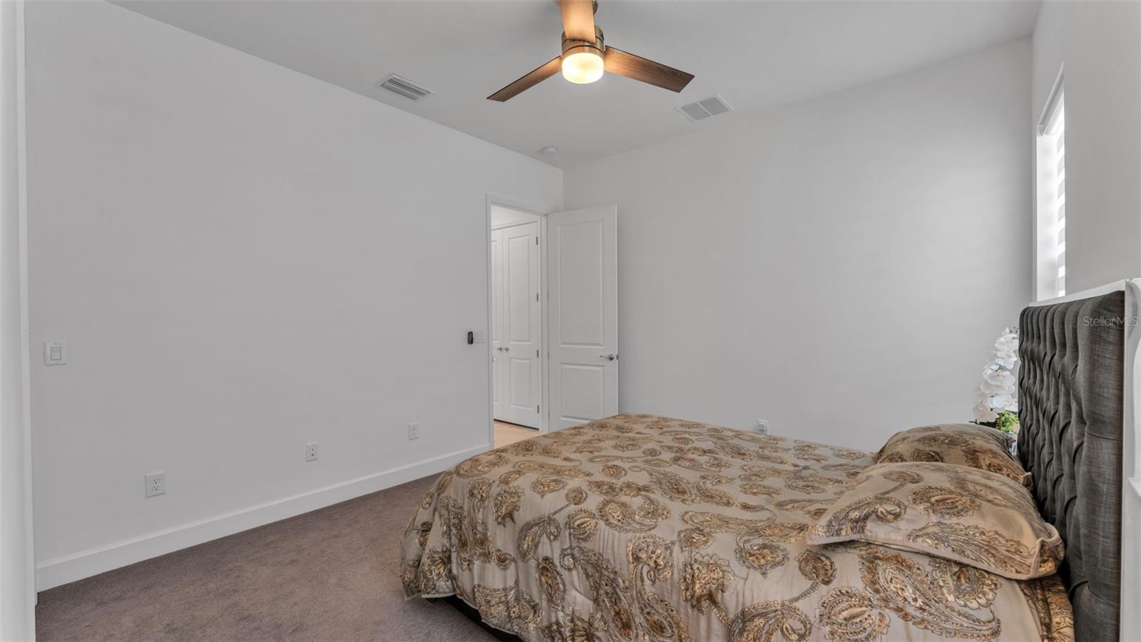 3405 JUNIPER SPRINGS ST, WESLEY CHAPEL, FL — photo 43