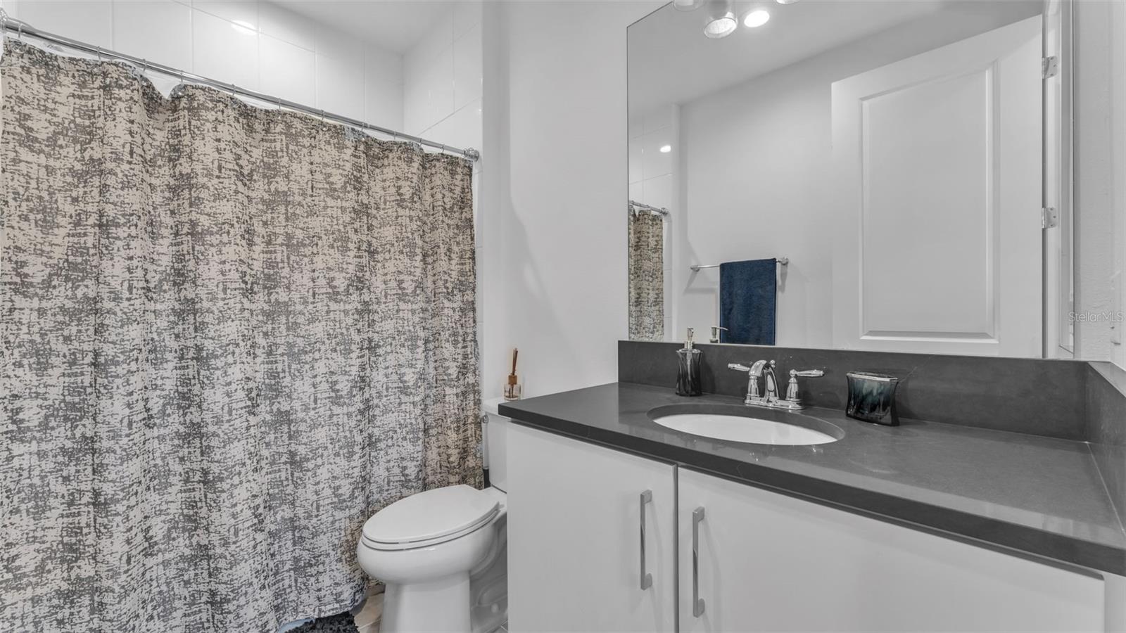 3405 JUNIPER SPRINGS ST, WESLEY CHAPEL, FL — photo 49