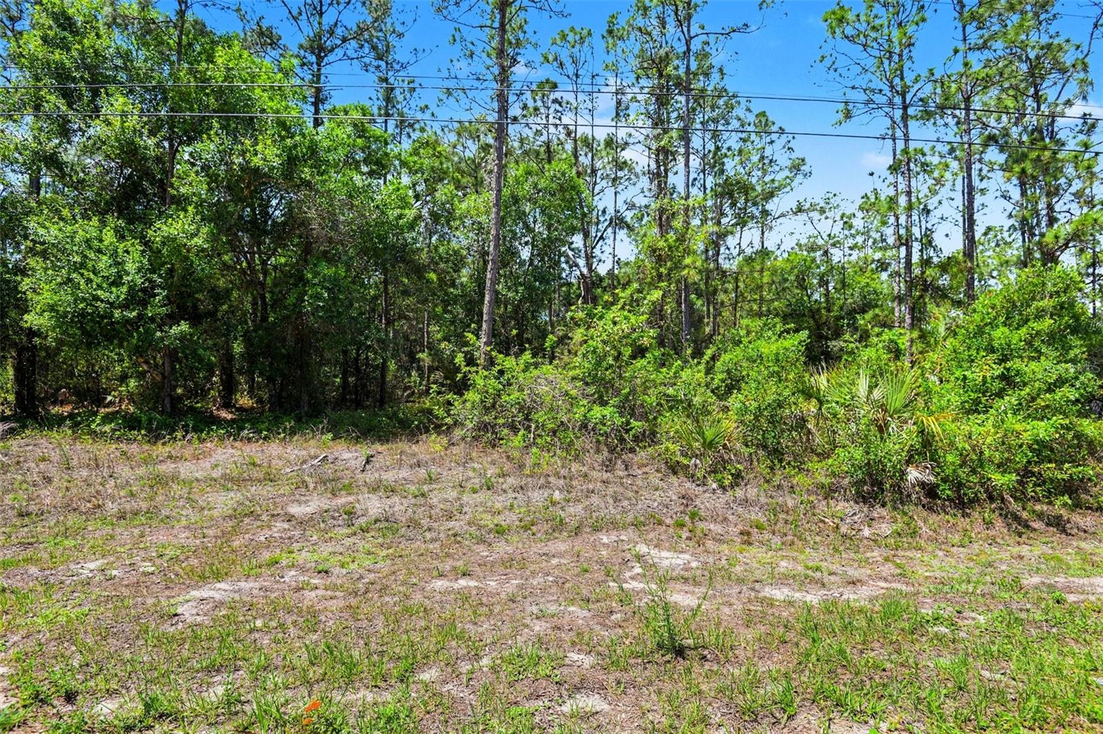 711 WELLINGTON AVE, LEHIGH ACRES, FL — photo 3