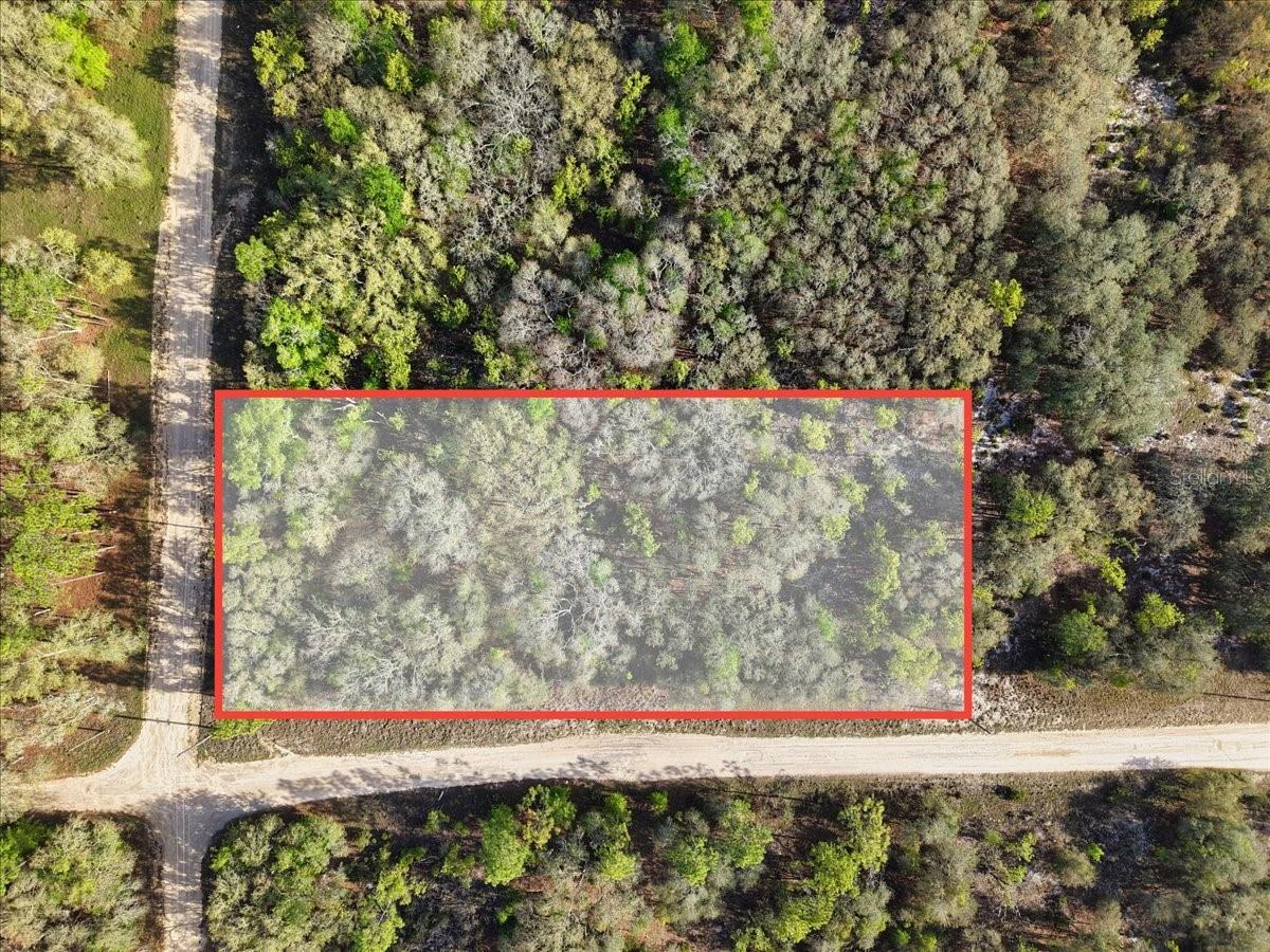 Lot 362 NE 82ND PL, BRONSON, FL — photo 3