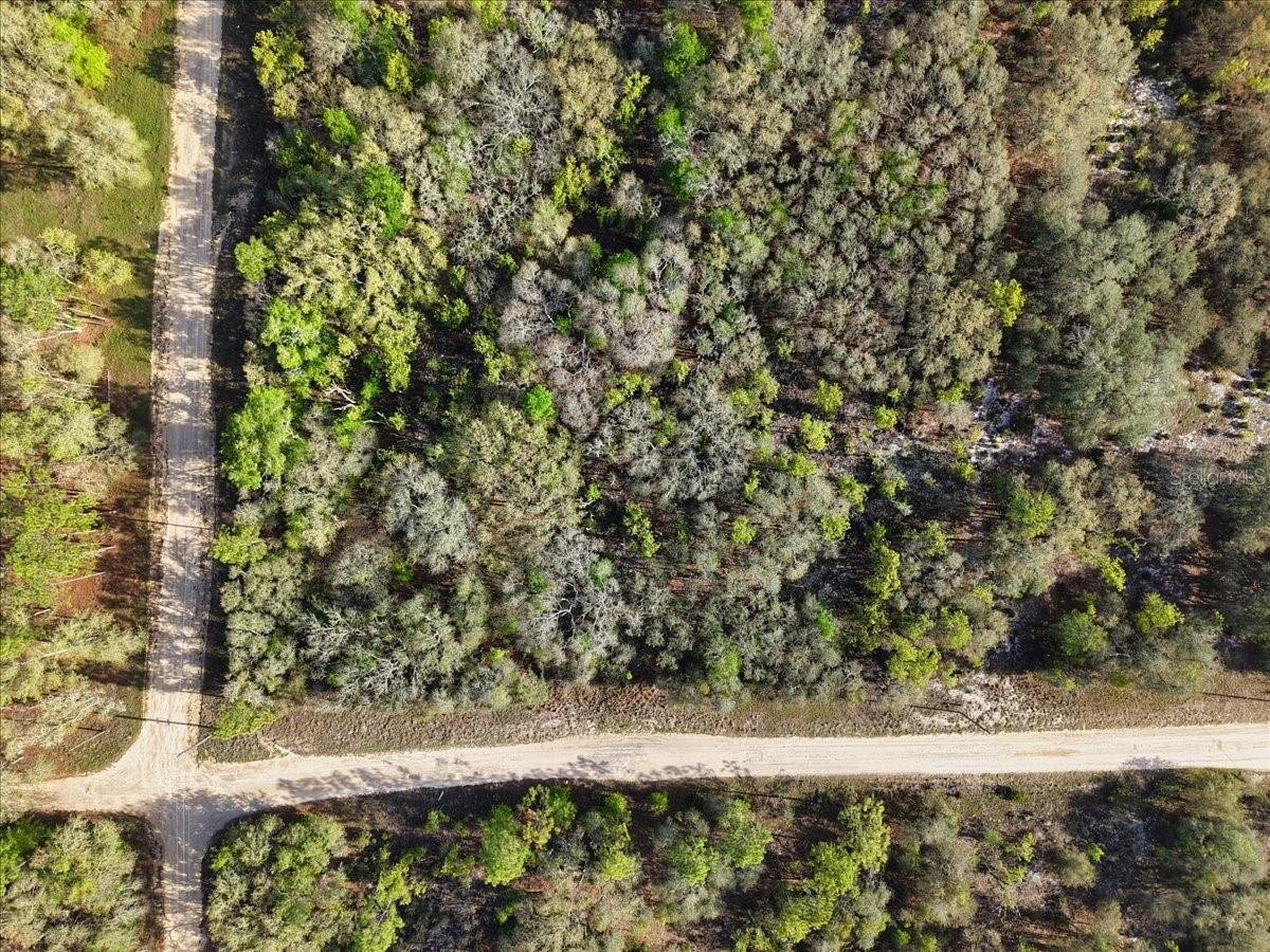 Lot 362 NE 82ND PL, BRONSON, FL — photo 9