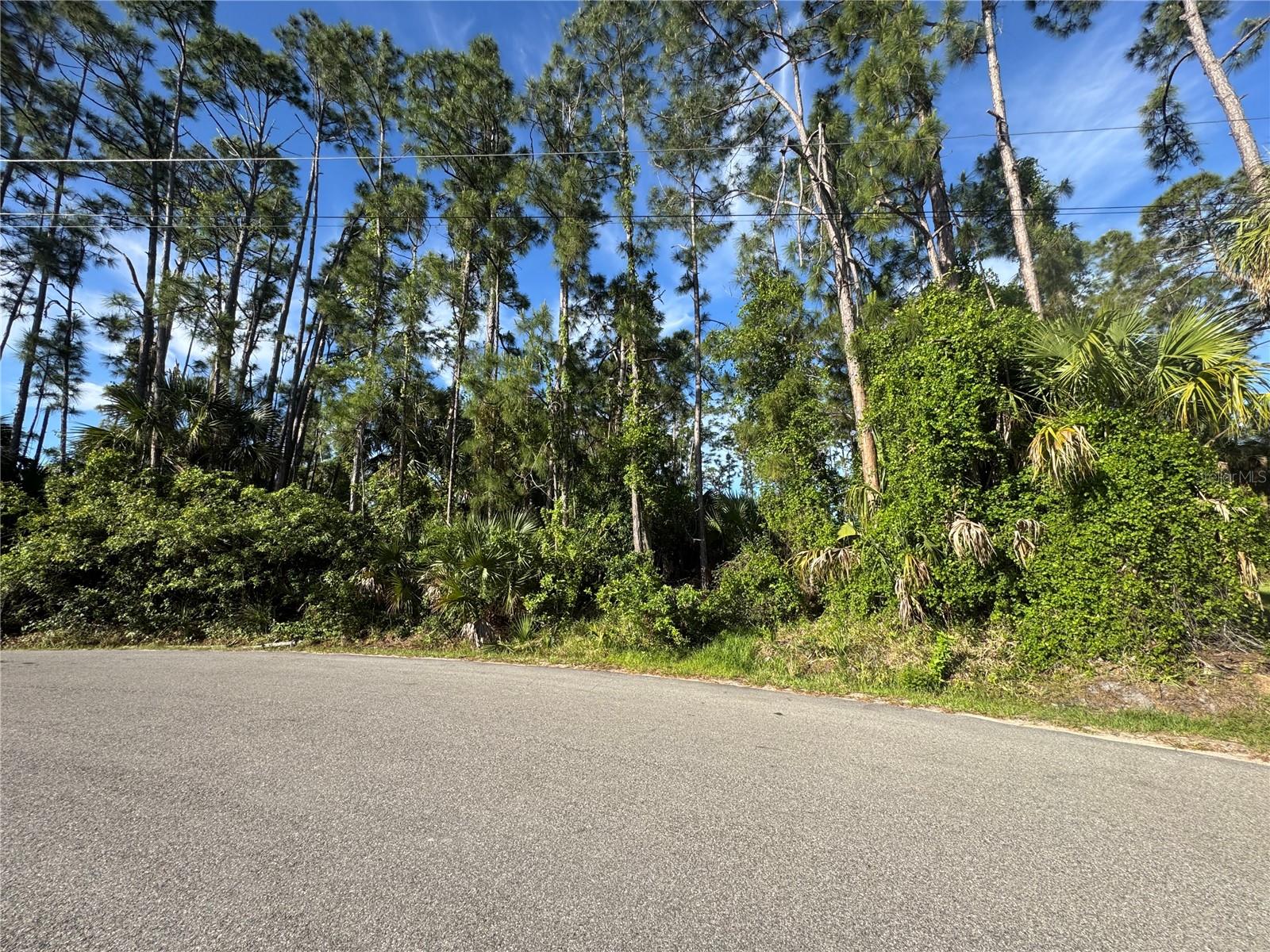 Lot 20 & 21 GAUCHO TER, NORTH PORT, FL