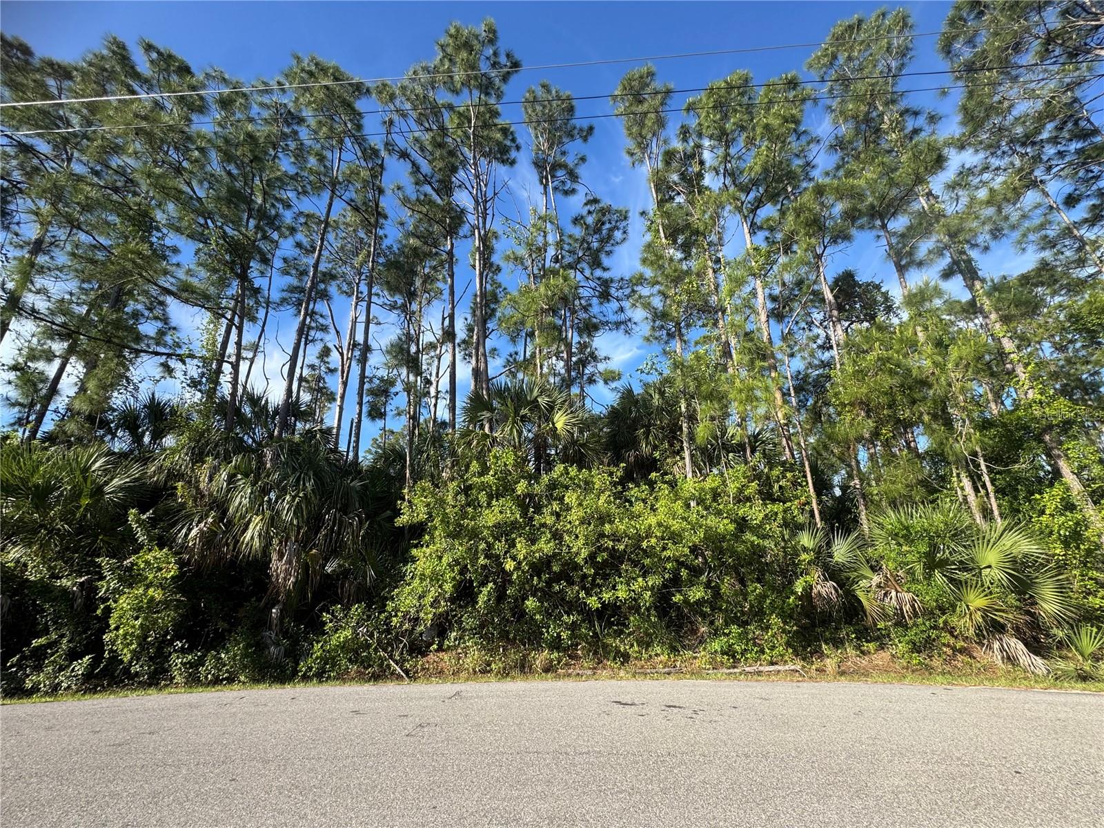 Lot 20 & 21 GAUCHO TER, NORTH PORT, FL — photo 2