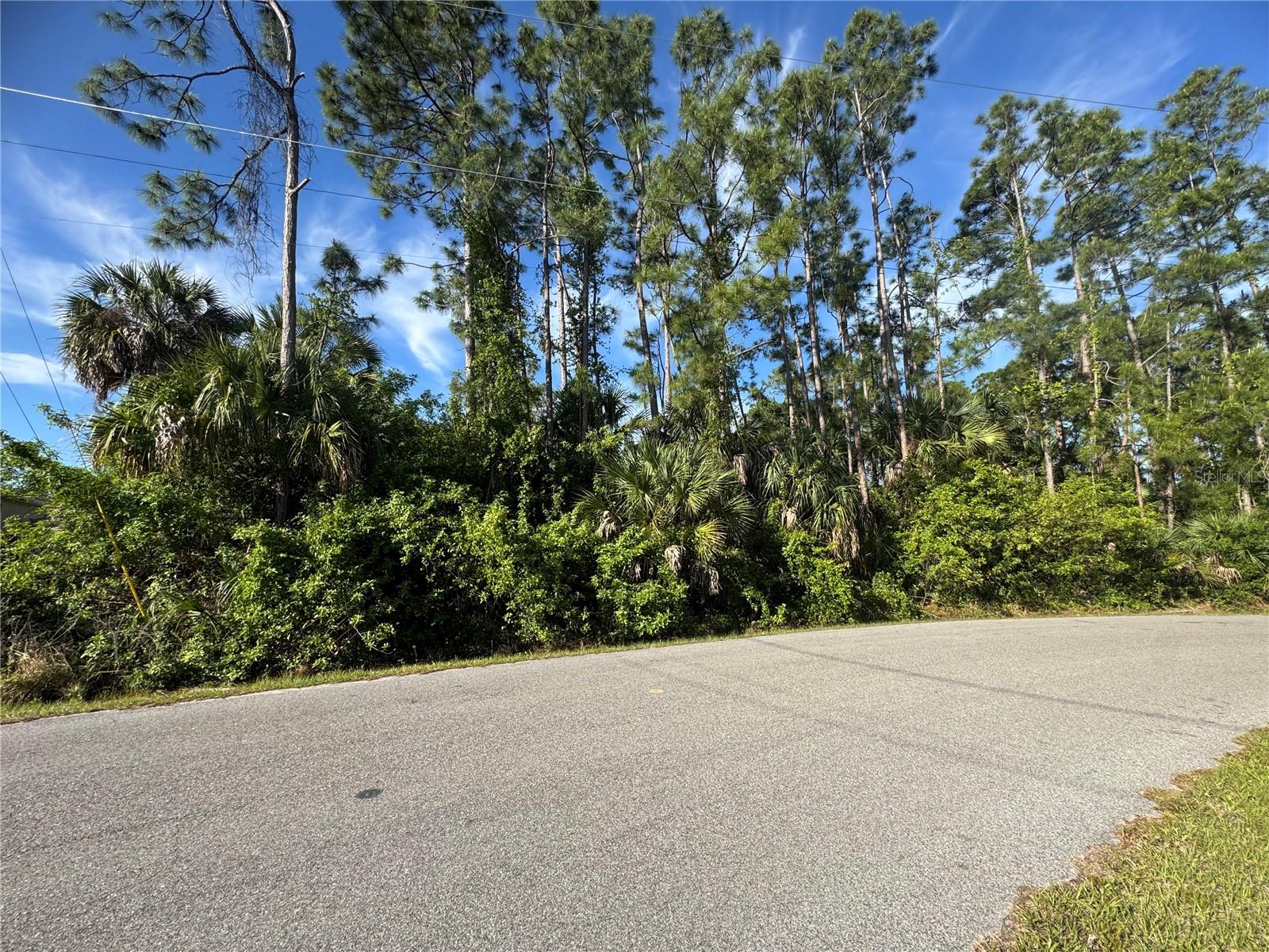 Lot 20 & 21 GAUCHO TER, NORTH PORT, FL — photo 3