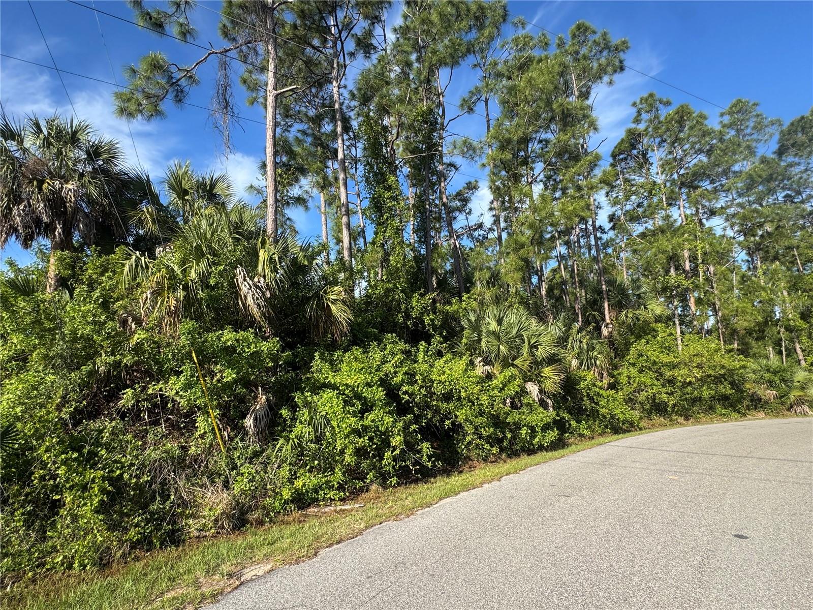 Lot 20 & 21 GAUCHO TER, NORTH PORT, FL — photo 5