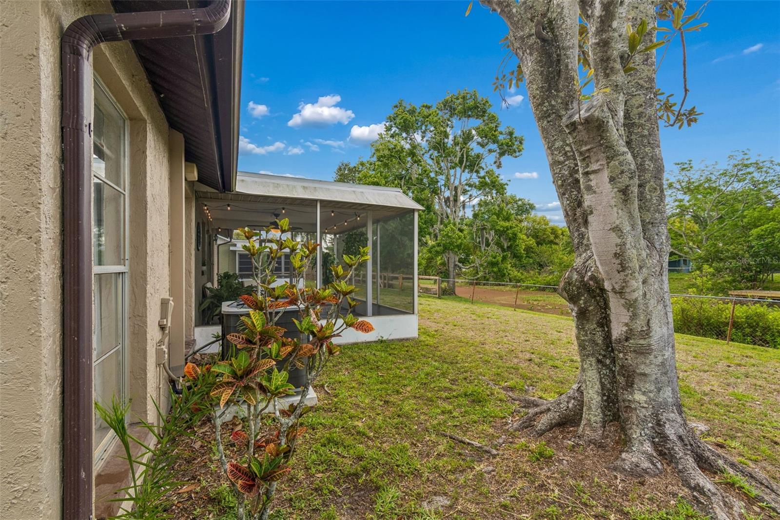 7038 JENNER AVE, NEW PORT RICHEY, FL — photo 48