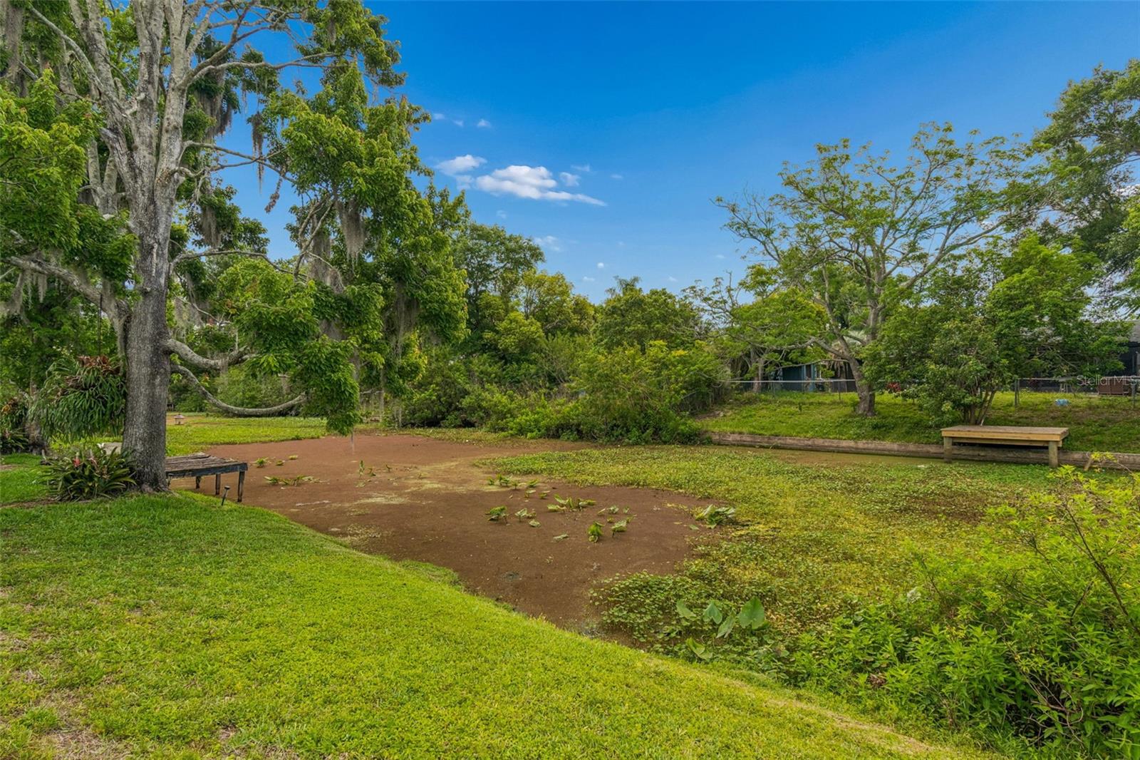 7038 JENNER AVE, NEW PORT RICHEY, FL — photo 49