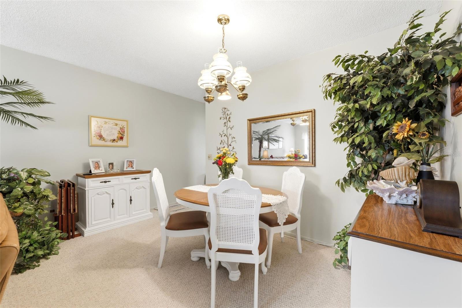2430 FLORENTINE WAY #58, CLEARWATER, FL — photo 9
