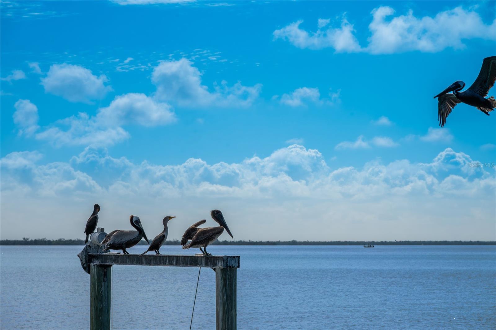 4130 SNAIL ISLAND CT, BOCA GRANDE, FL — photo 28