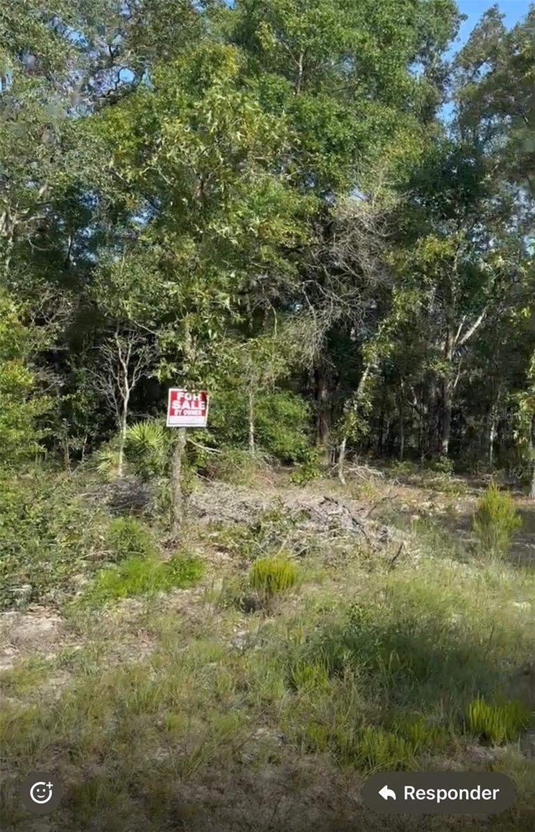 NE 97TH CT, BRONSON, FL — photo 2