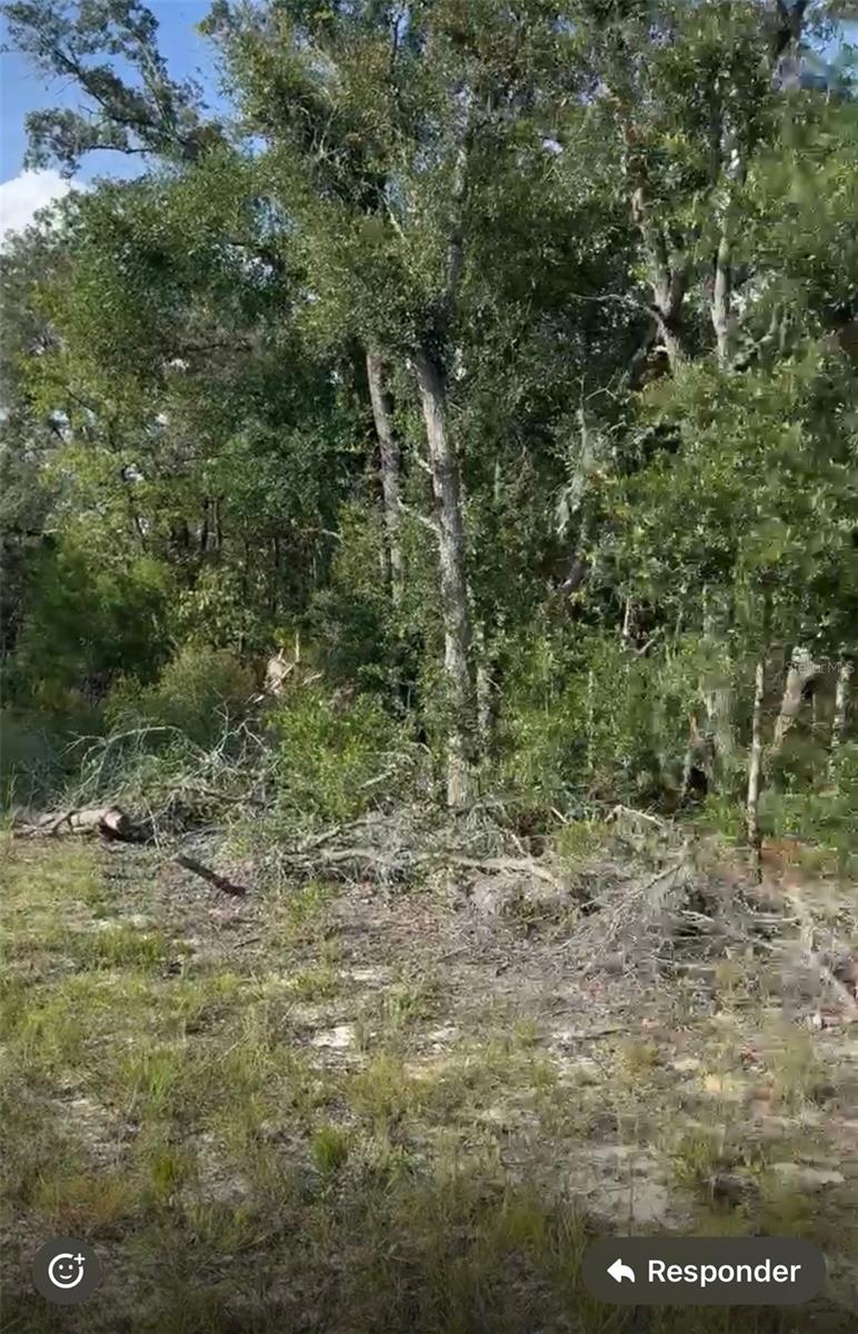 NE 97TH CT, BRONSON, FL — photo 3