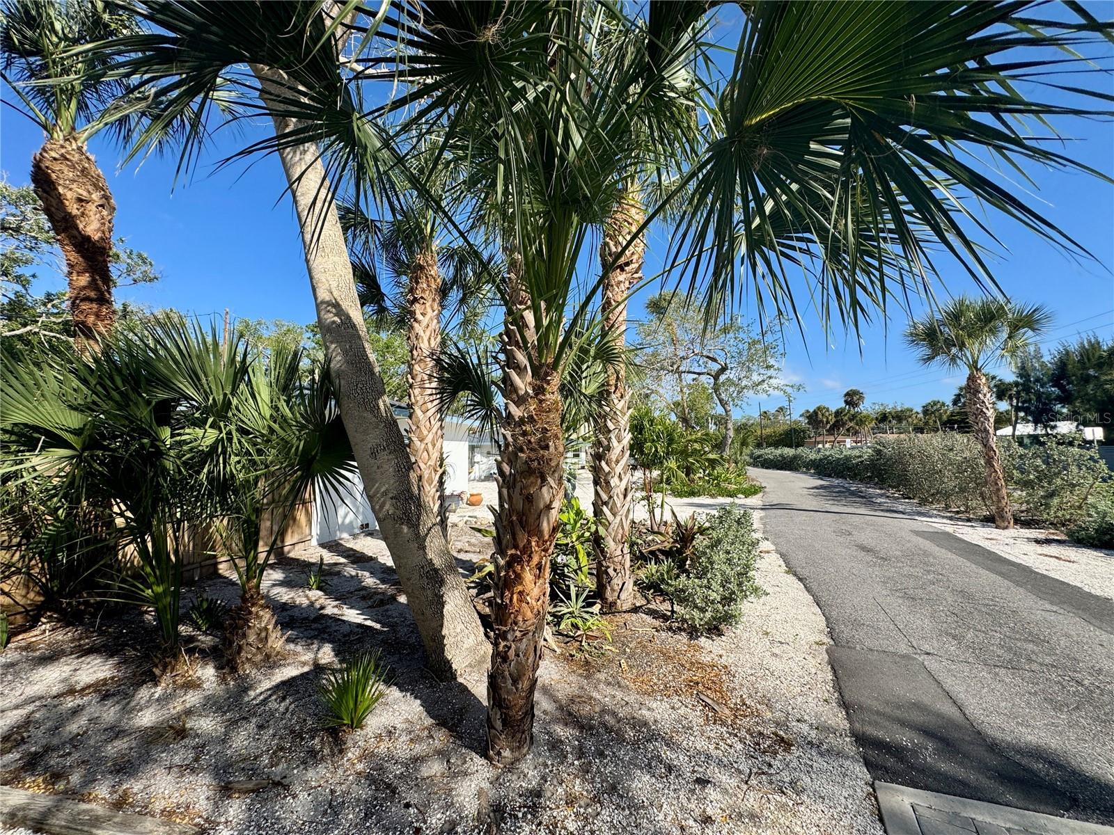7372 MELALEUCA WAY, SARASOTA, FL — photo 34