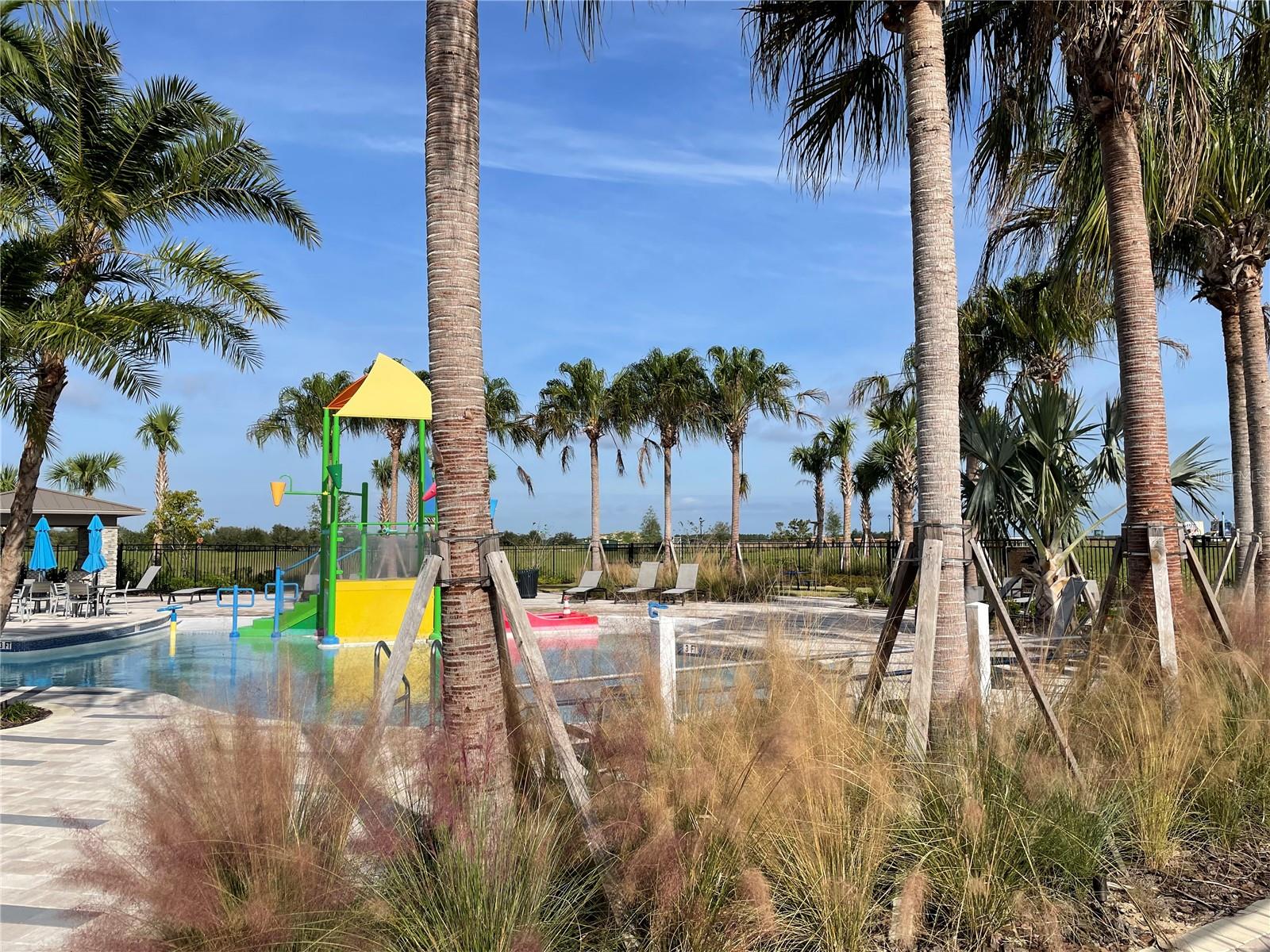6805 PERCH HAMMOCK LOOP, GROVELAND, FL — photo 100