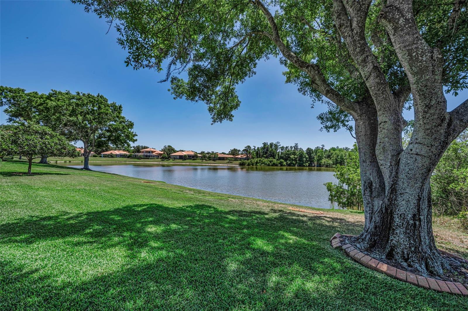 10706 RUFFINO CT, TRINITY, FL — photo 73