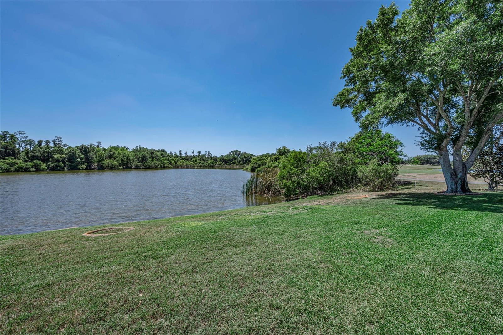 10706 RUFFINO CT, TRINITY, FL — photo 79