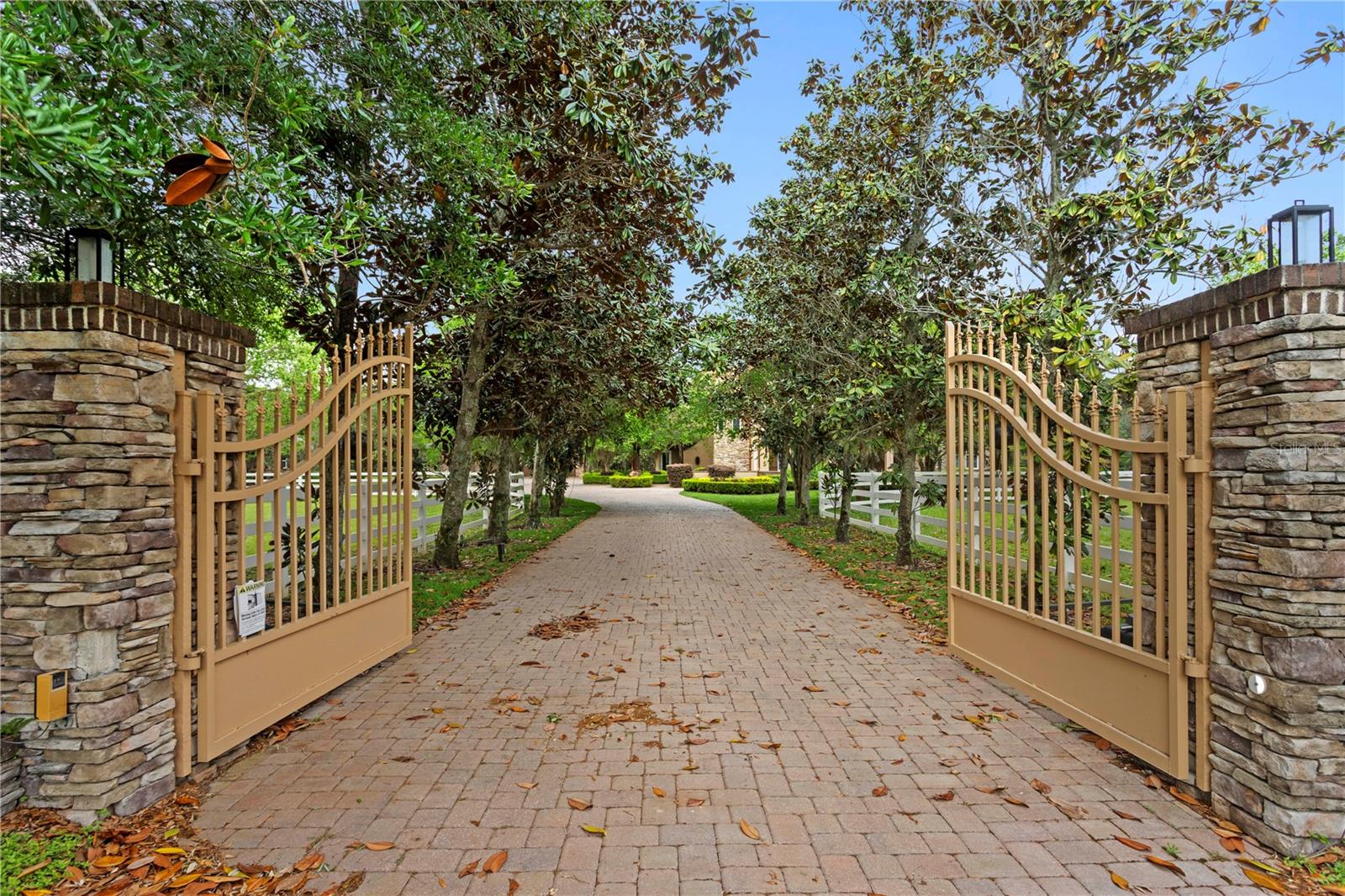 11410 TROTTING DOWN DR, ODESSA, FL — photo 96