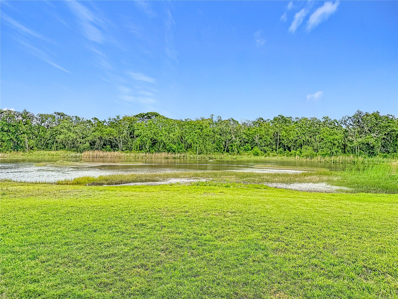 4449 ETERNAL PRINCE DR, SUN CITY CENTER, FL — photo 33