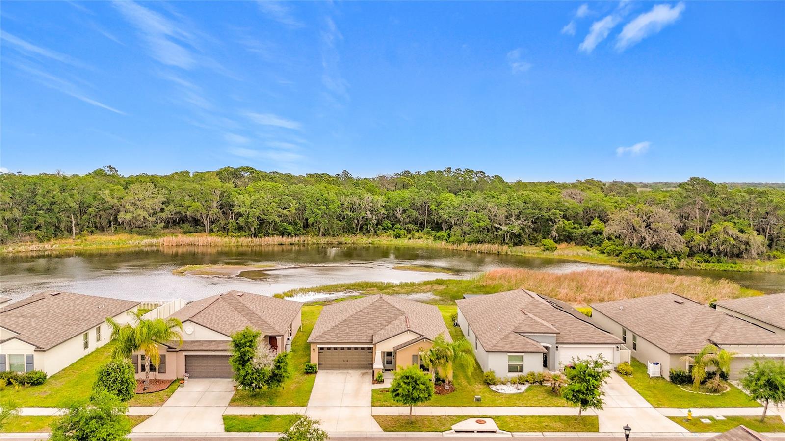 4449 ETERNAL PRINCE DR, SUN CITY CENTER, FL — photo 51