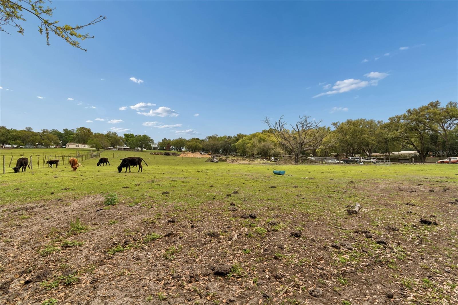 8302 WIRE RD, ZEPHYRHILLS, FL — photo 17