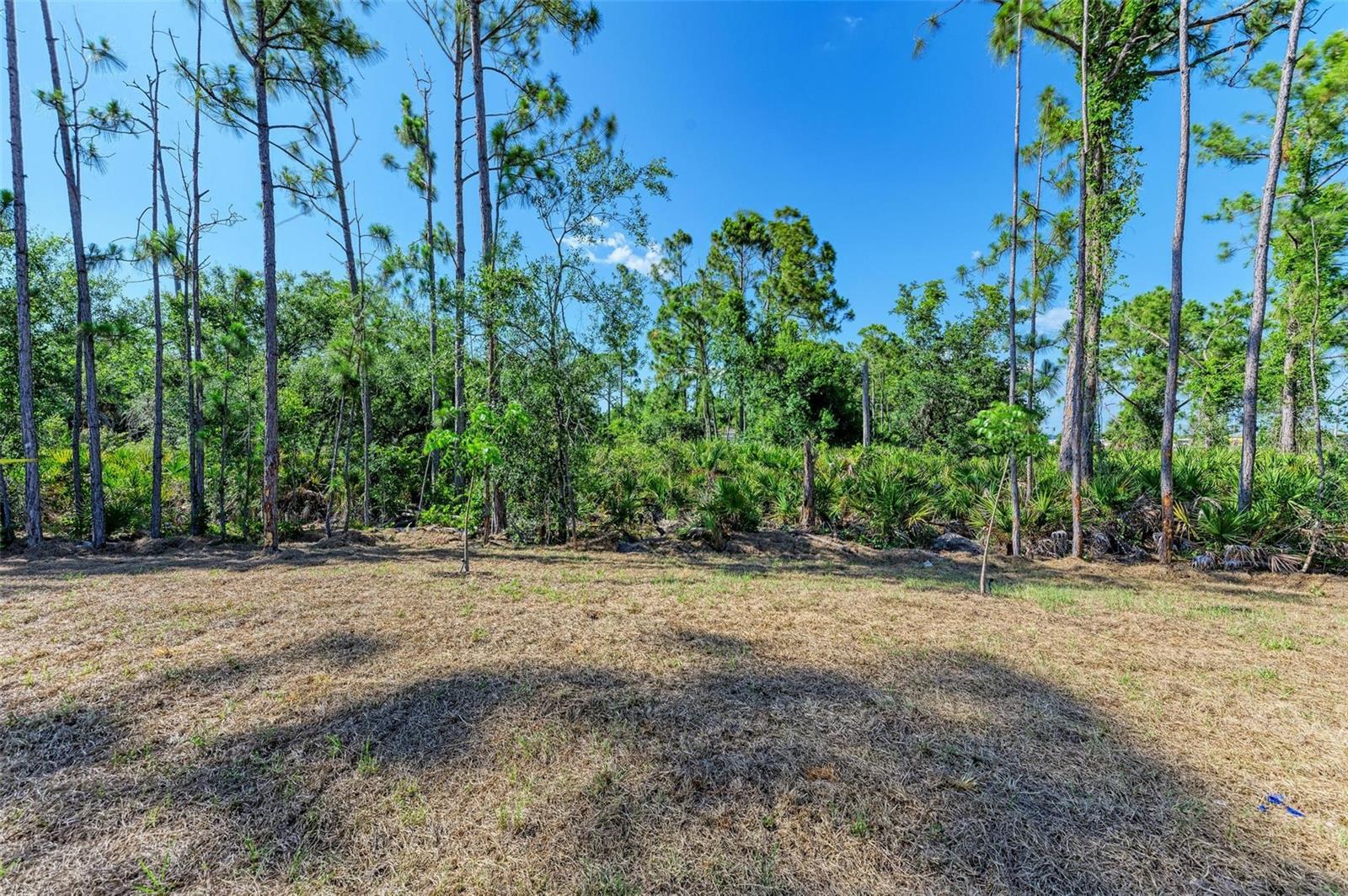 23444 STEEPLE AVE, PUNTA GORDA, FL — photo 25