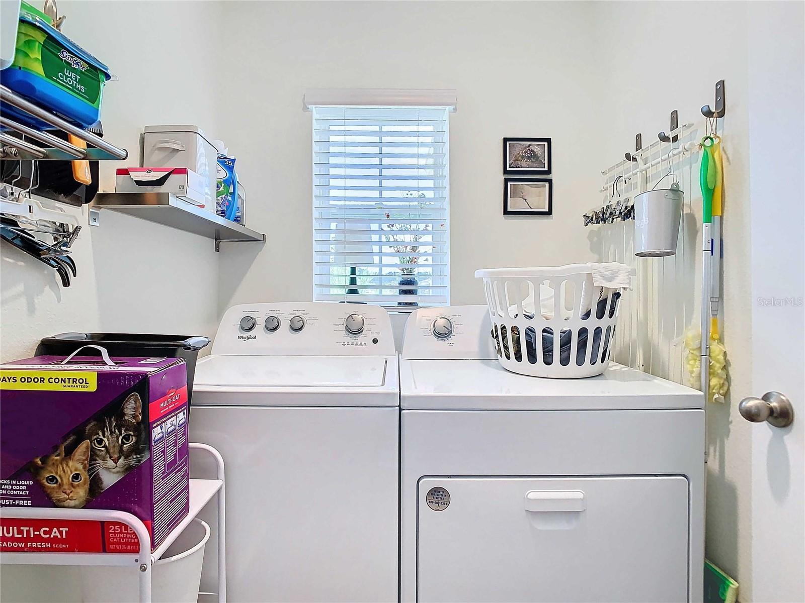 7737 SAIL CLOVER LN, ZEPHYRHILLS, FL — photo 55