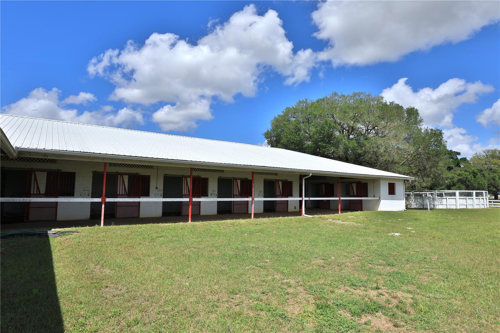 4450 SE 216TH AVE, MORRISTON, FL — photo 52