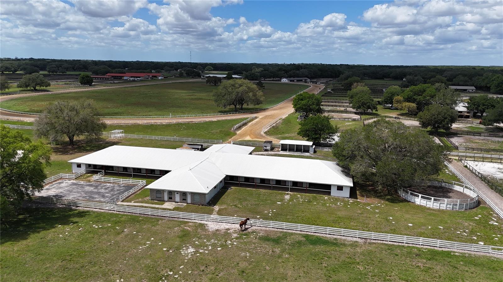 4450 SE 216TH AVE, MORRISTON, FL — photo 66