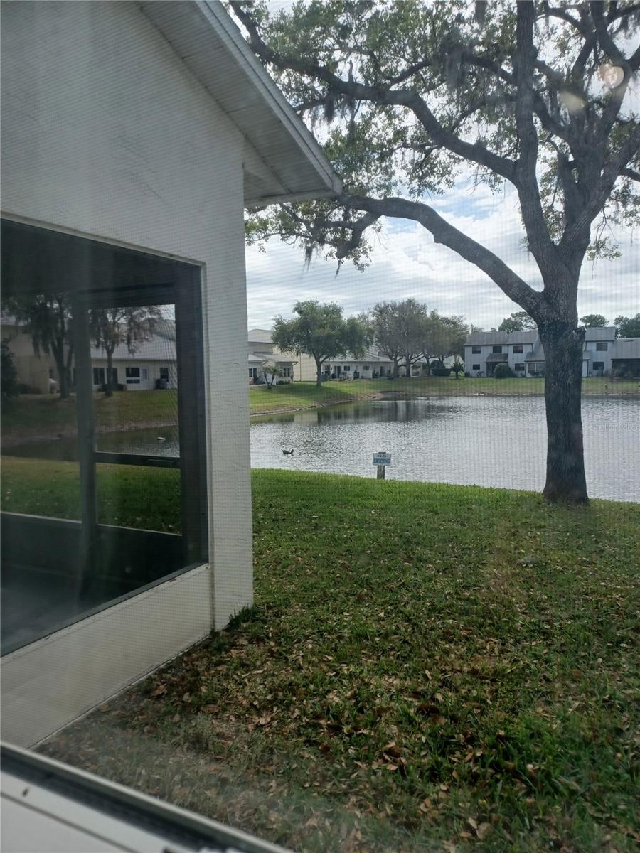 2250 CANDLEWOOD LN E, NEW SMYRNA BEACH, FL — photo 29