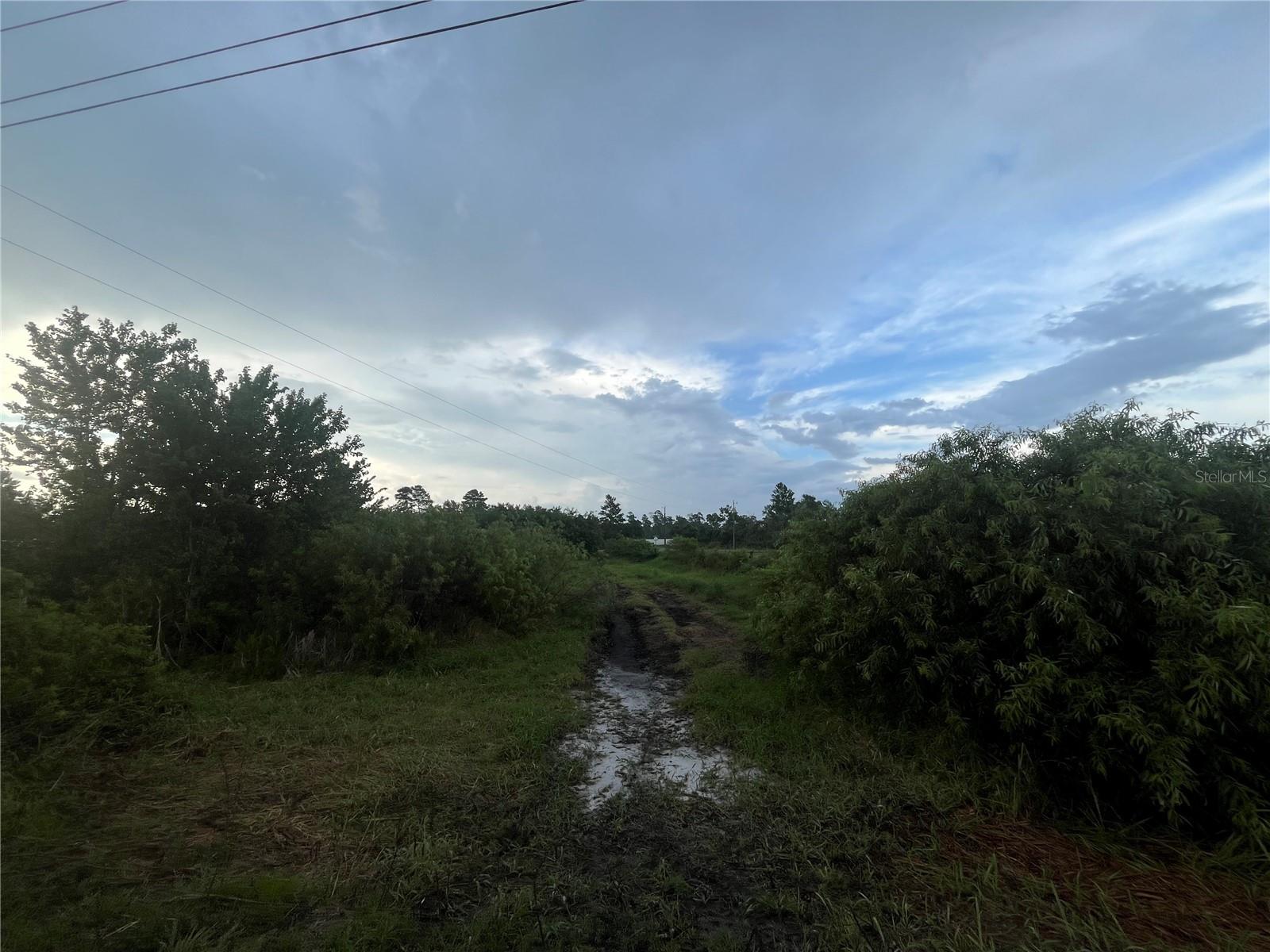 E STATE RD 60, OKEECHOBEE, FL — photo 2