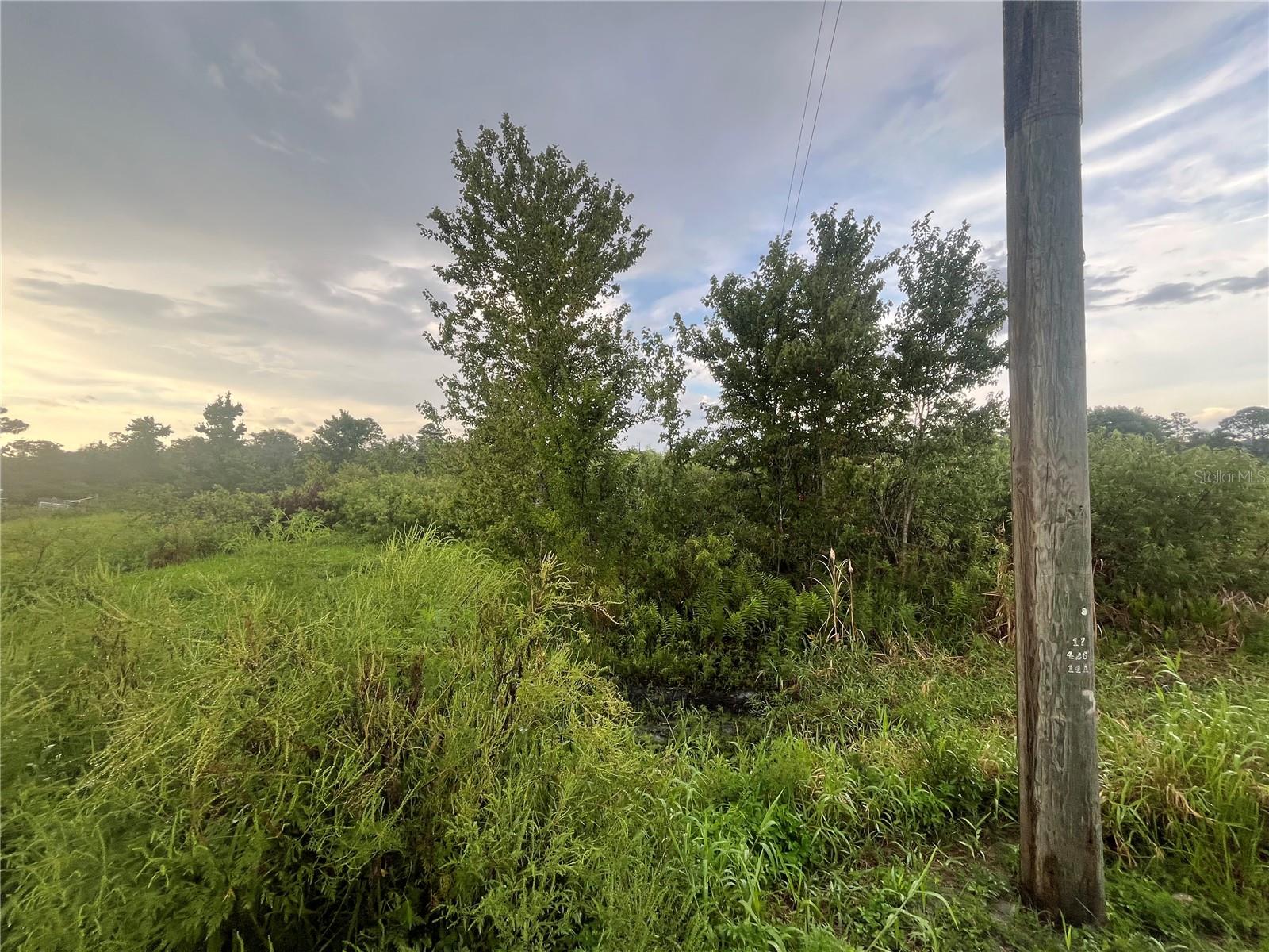E STATE RD 60, OKEECHOBEE, FL — photo 8